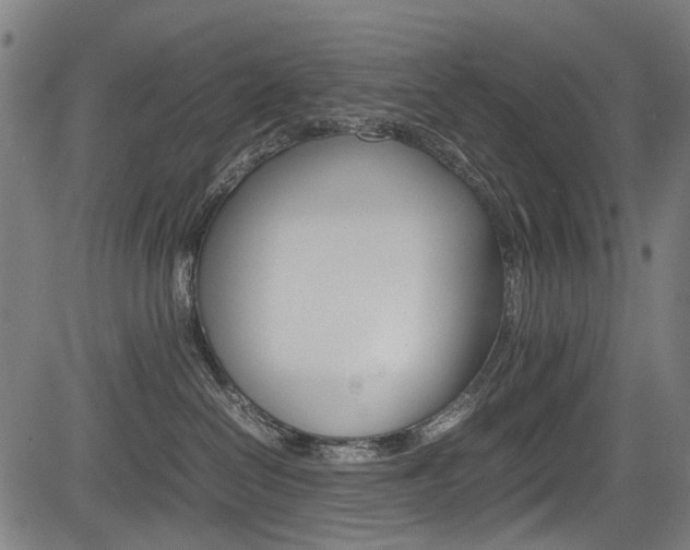 X0000083660286200702120847