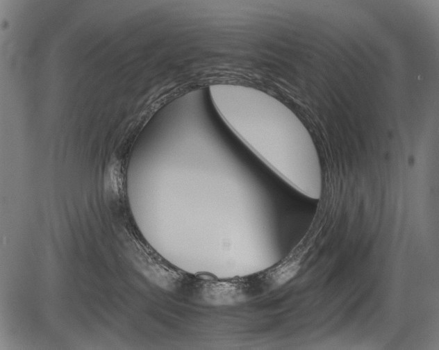 X0000083660287200702120847
