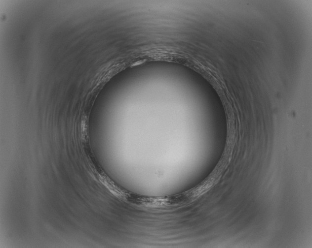 X0000083660288200702120847