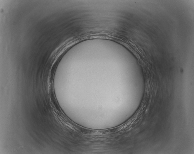 X0000083660290200702120847