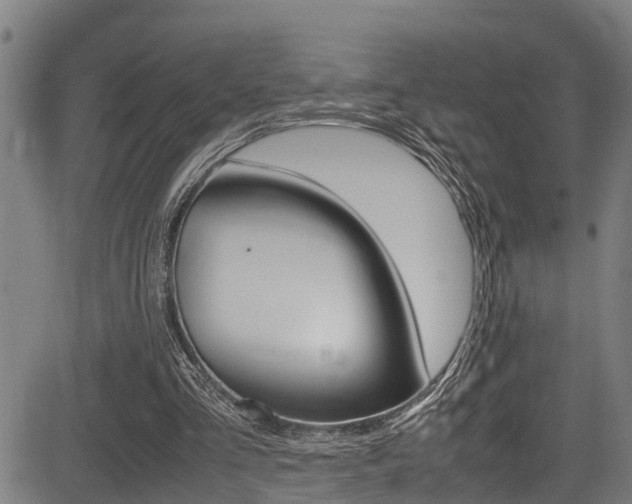 X0000083660293200702120846