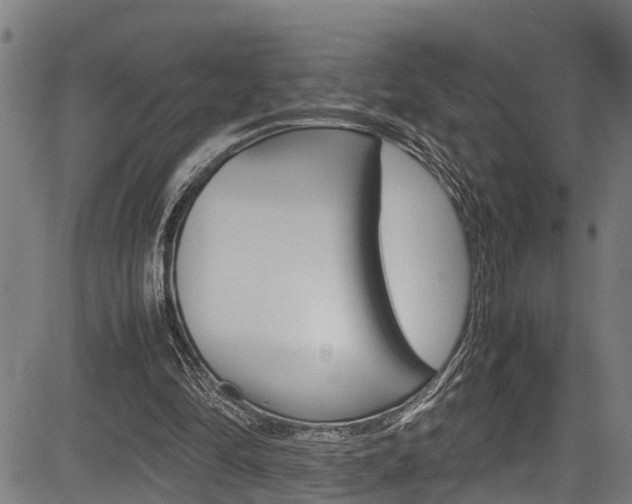 X0000083660294200702120846