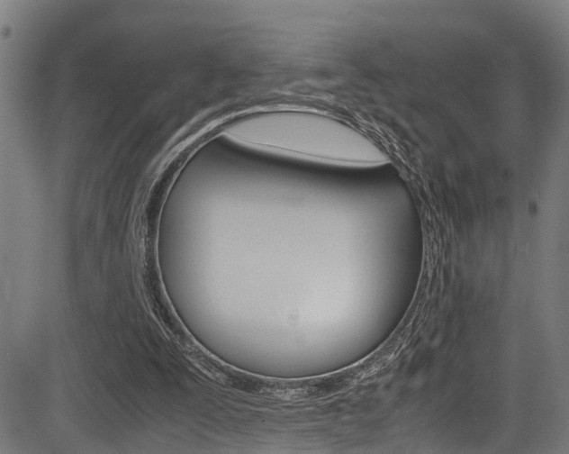 X0000083660295200702120846
