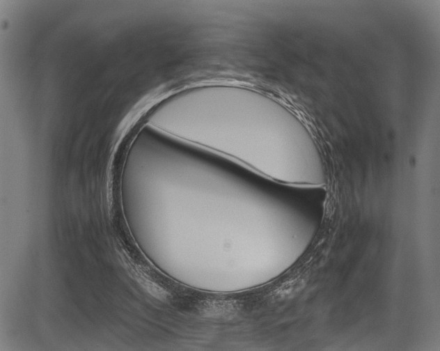 X0000083660296200702120846