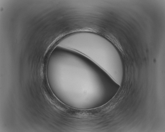 X0000083660300200702120846