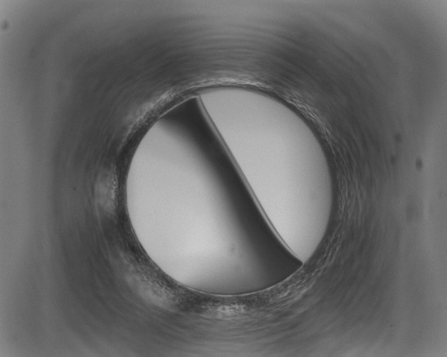 X0000083660304200702120846