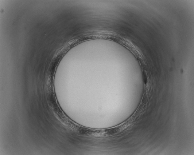 X0000083660306200702120846