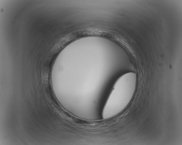X0000083660309200702120846