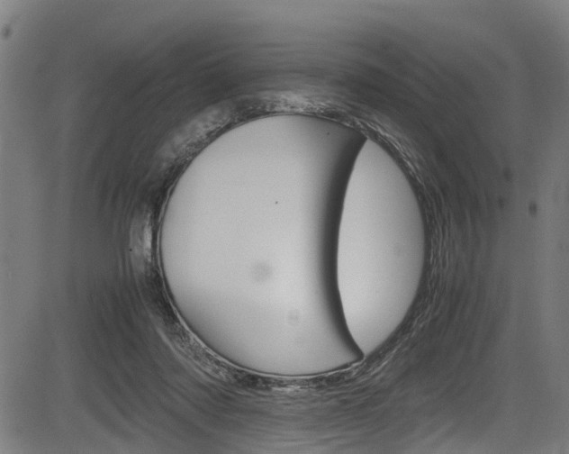 X0000083660310200702120846