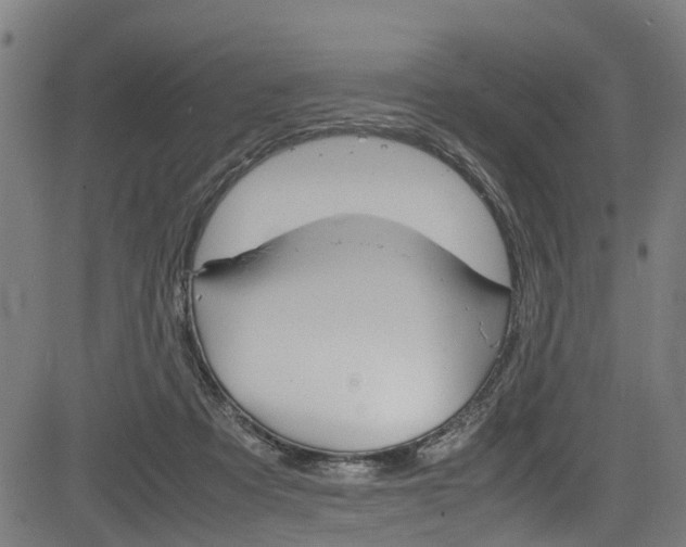 X0000083660313200702120846
