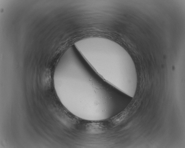 X0000083660320200702120846