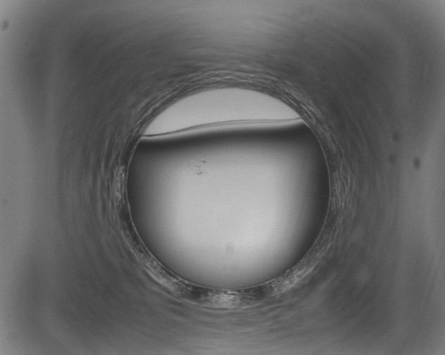 X0000083660325200702120846