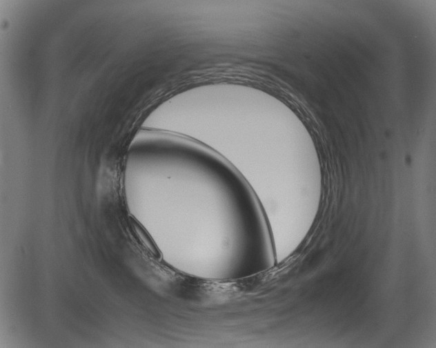 X0000083660333200702120846