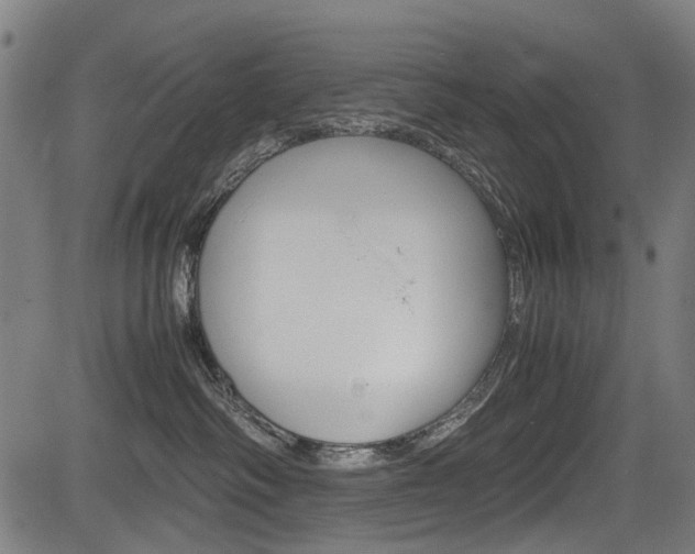 X0000083660334200702120846