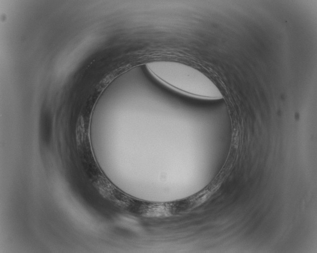 X0000083660335200702120846