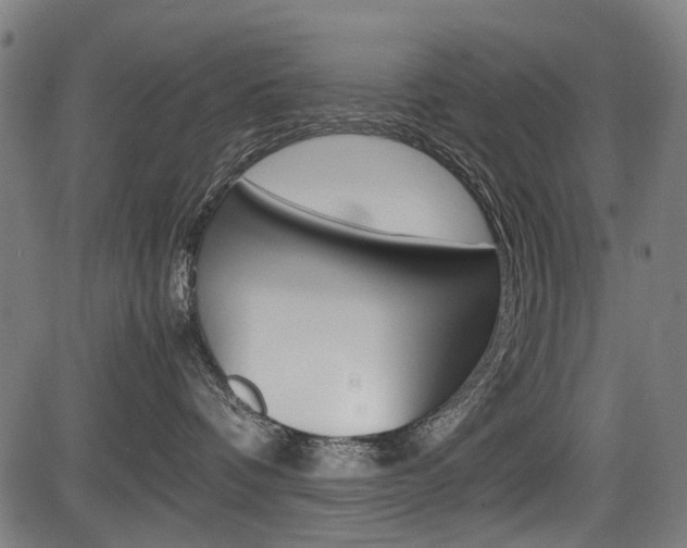 X0000083660336200702120846