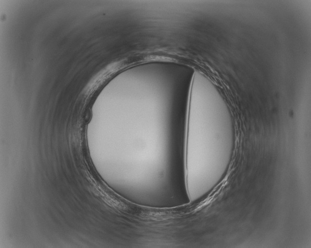 X0000083660341200702120845