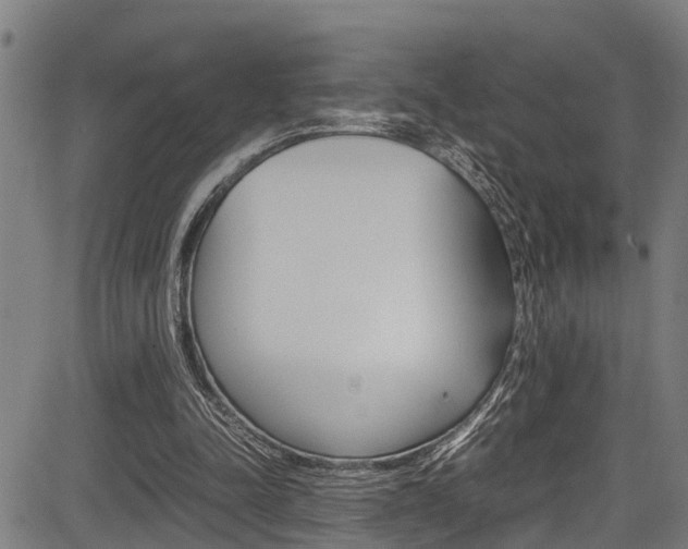 X0000083660342200702120845