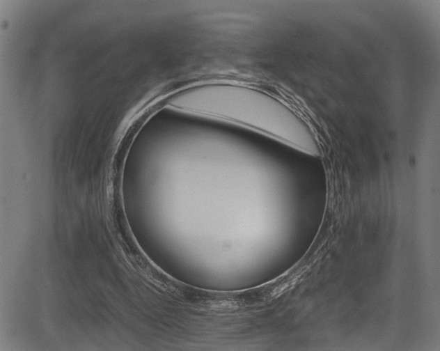 X0000083660344200702120845