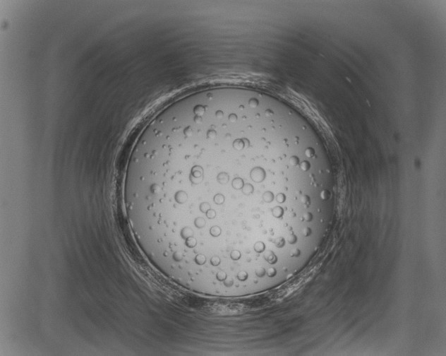 X0000083660346200702120845