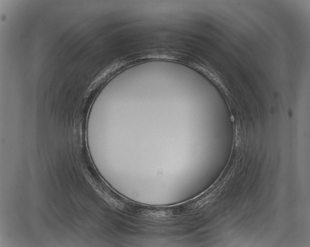 X0000083660349200702120845