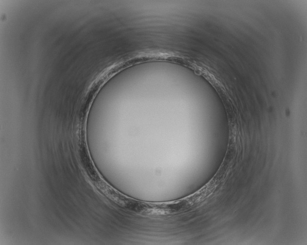 X0000083660352200702120845