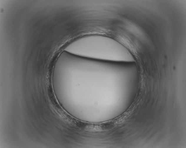 X0000083660354200702120845