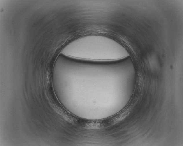 X0000083660362200702120845