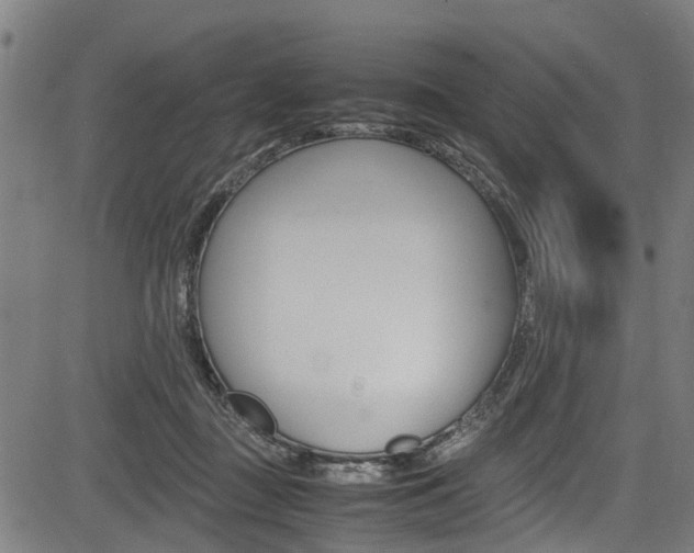X0000083660363200702120845