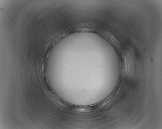 X0000083660365200702120845