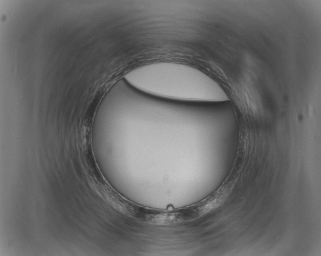 X0000083660366200702120845