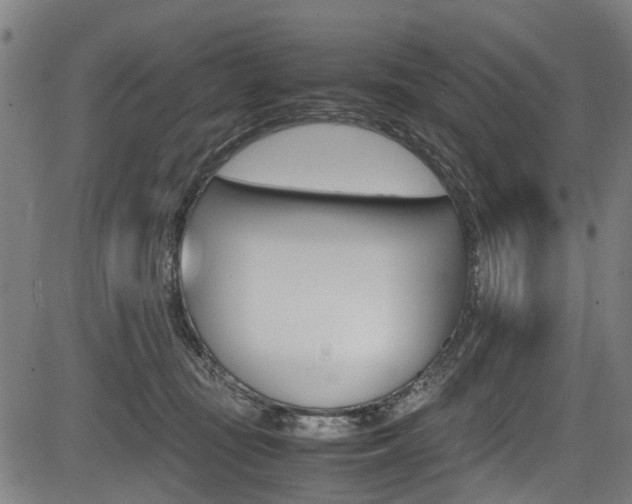 X0000083660371200702120846