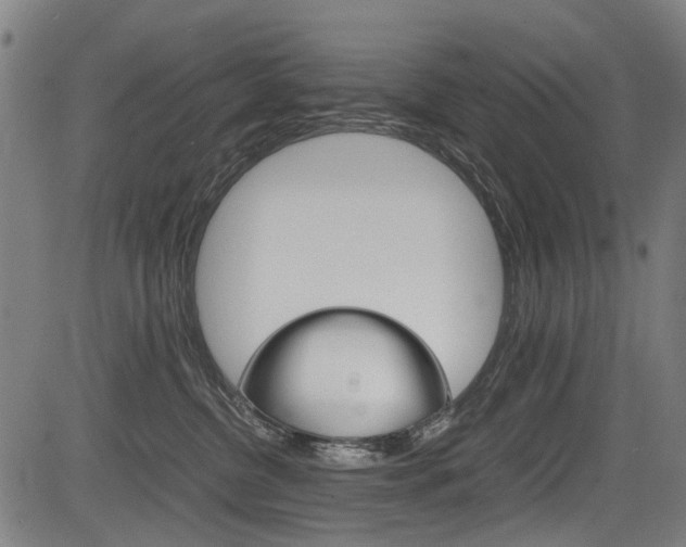 X0000083660380200702120846
