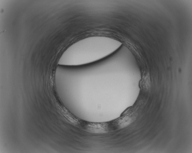 X0000083660381200702120846