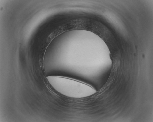 X0000083660383200702120846