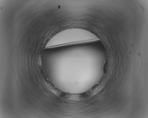 X0000083660384200702120846
