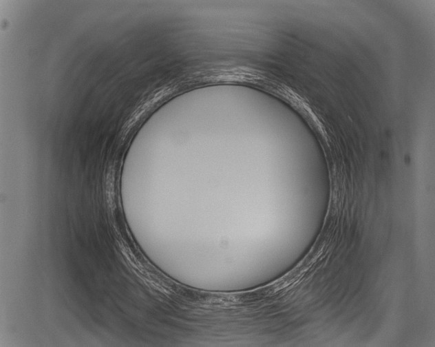 X0000083660386200702120845