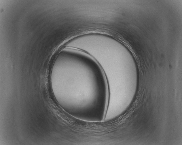 X0000083660387200702120845