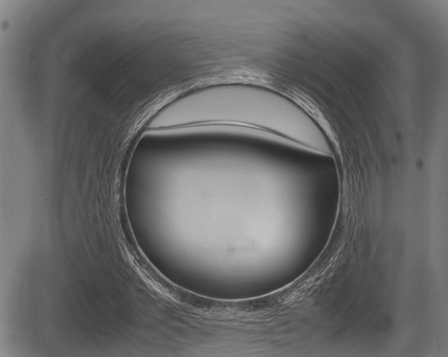 X0000083660389200702120845