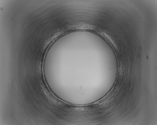X0000083660394200702120845