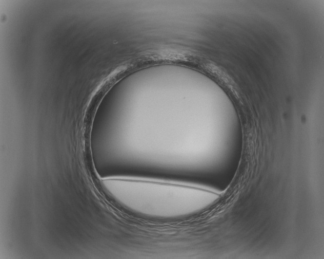 X0000083660395200702120845