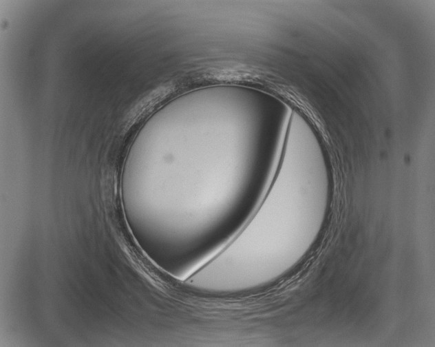 X0000083660397200702120845