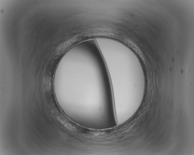X0000083660401200702120845