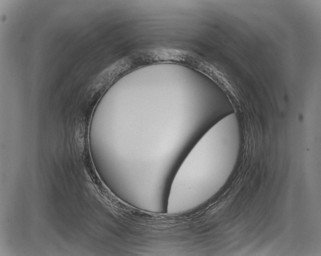 X0000083660402200702120845
