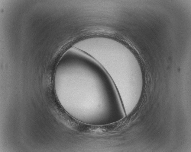 X0000083660407200702120845