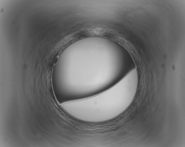 X0000083660409200702120845