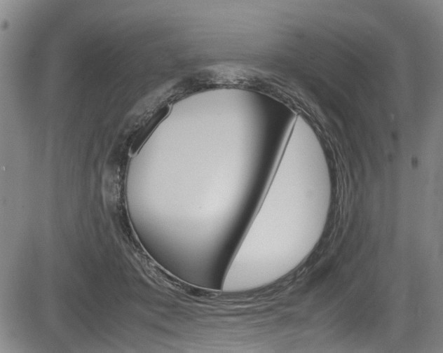 X0000083660413200702120845