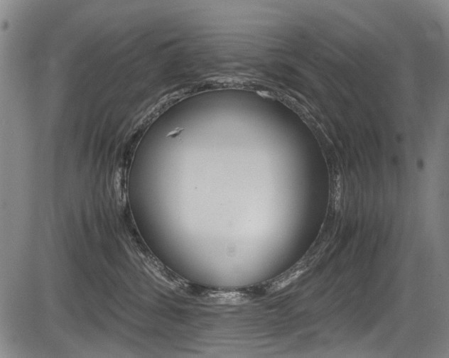 X0000083660428200702120844