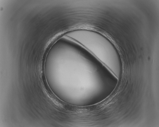 X0000083660438200702120844