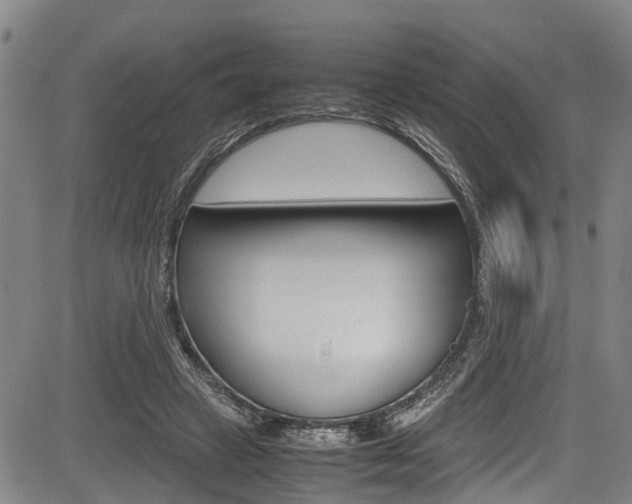 X0000083660449200702120844